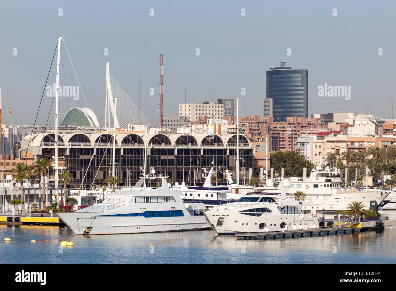 Yachts de luxe dans le vieux port de Valence, Espagne Banque D'Images