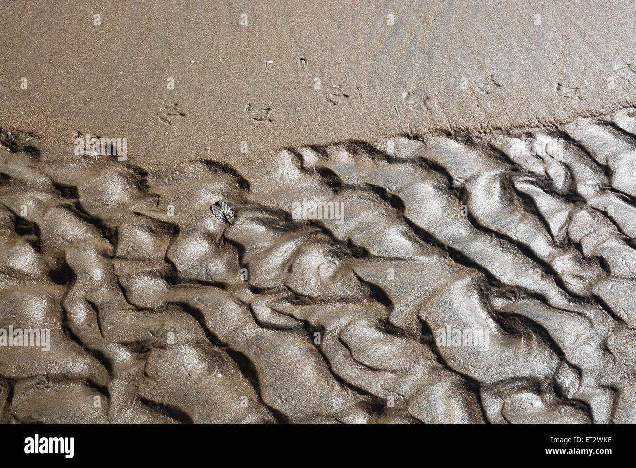 Résumé de fond de sable, littoral paysage organique naturelle détail. Banque D'Images