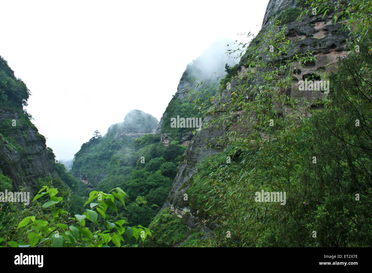 Wuyi mountain peaks inhabituelle. Banque D'Images