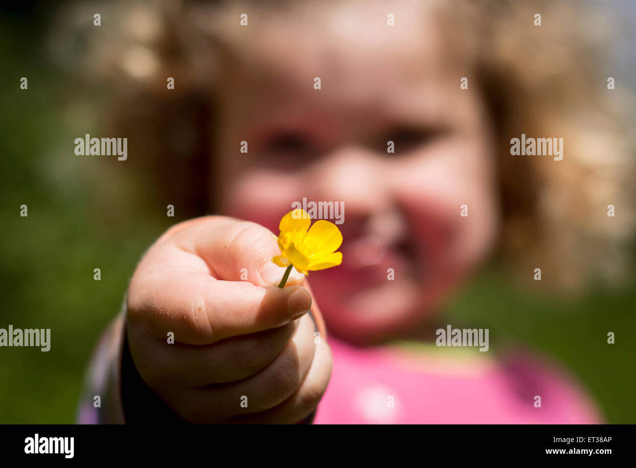 Jeune femme fille enfant avec fleur dans la campagne, avec du soleil sur une journée d'été. Banque D'Images