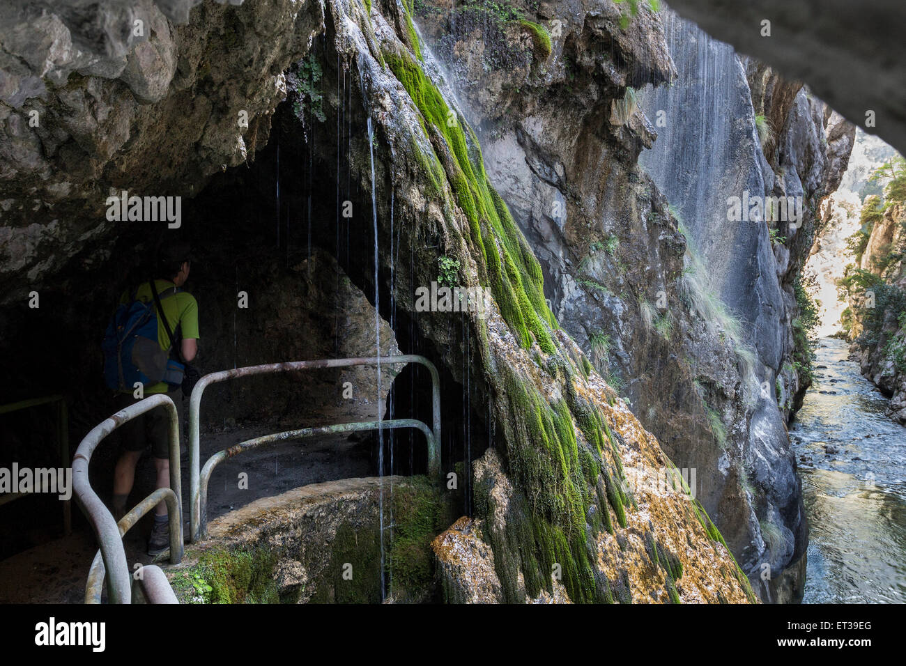 Walker passant sous une cascade dans les gorges de Cares Picos de Europa Cantabria Espagne Cordillère Banque D'Images