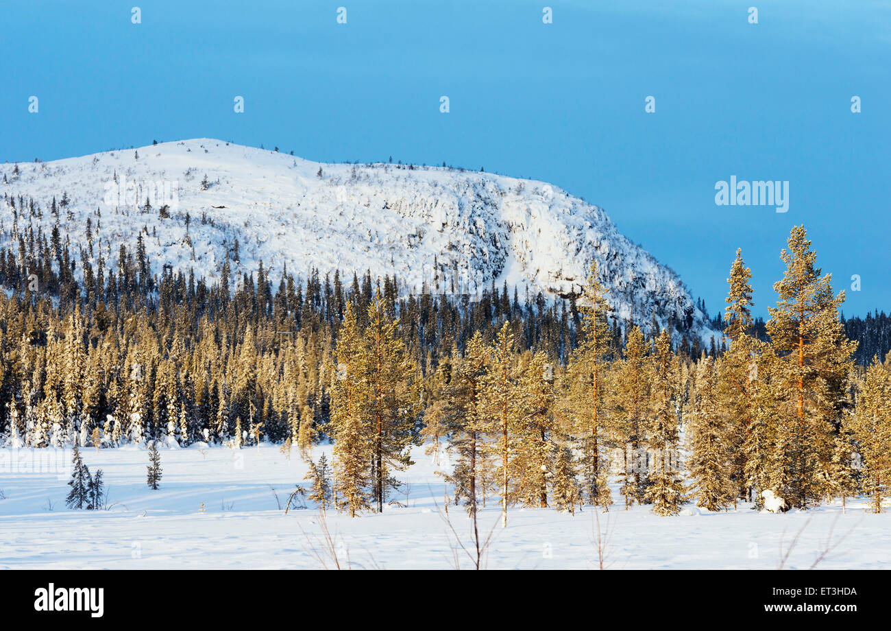 Cercle arctique, Laponie, Scandinavie, Suède, paysage d'hiver Banque D'Images