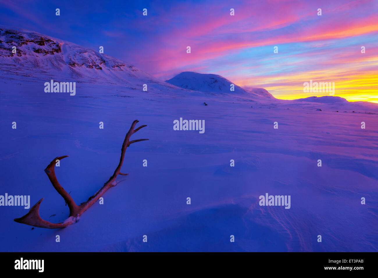 Cercle arctique, Laponie, Scandinavie, Suède, Abisko National Park, coucher du soleil Banque D'Images