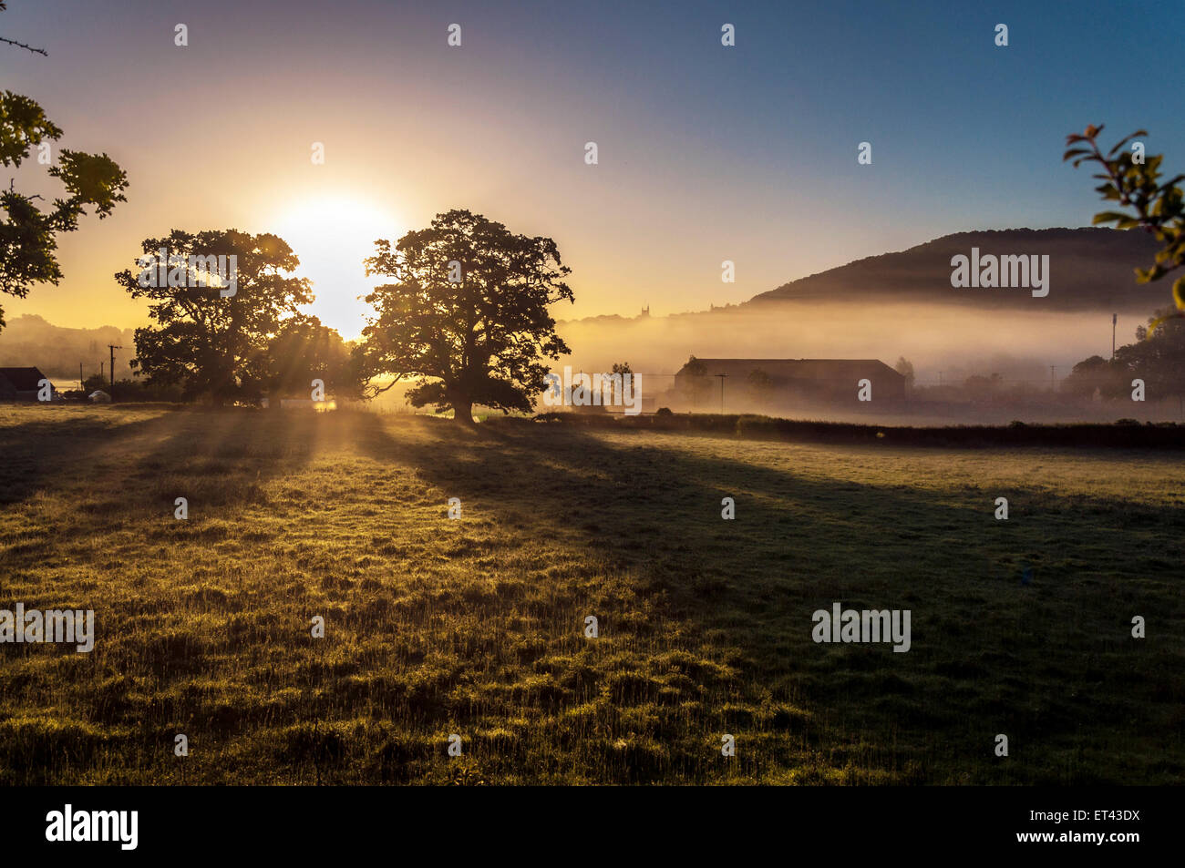 Misty se brise sur les champs à Bathampton Somerset England UK Banque D'Images
