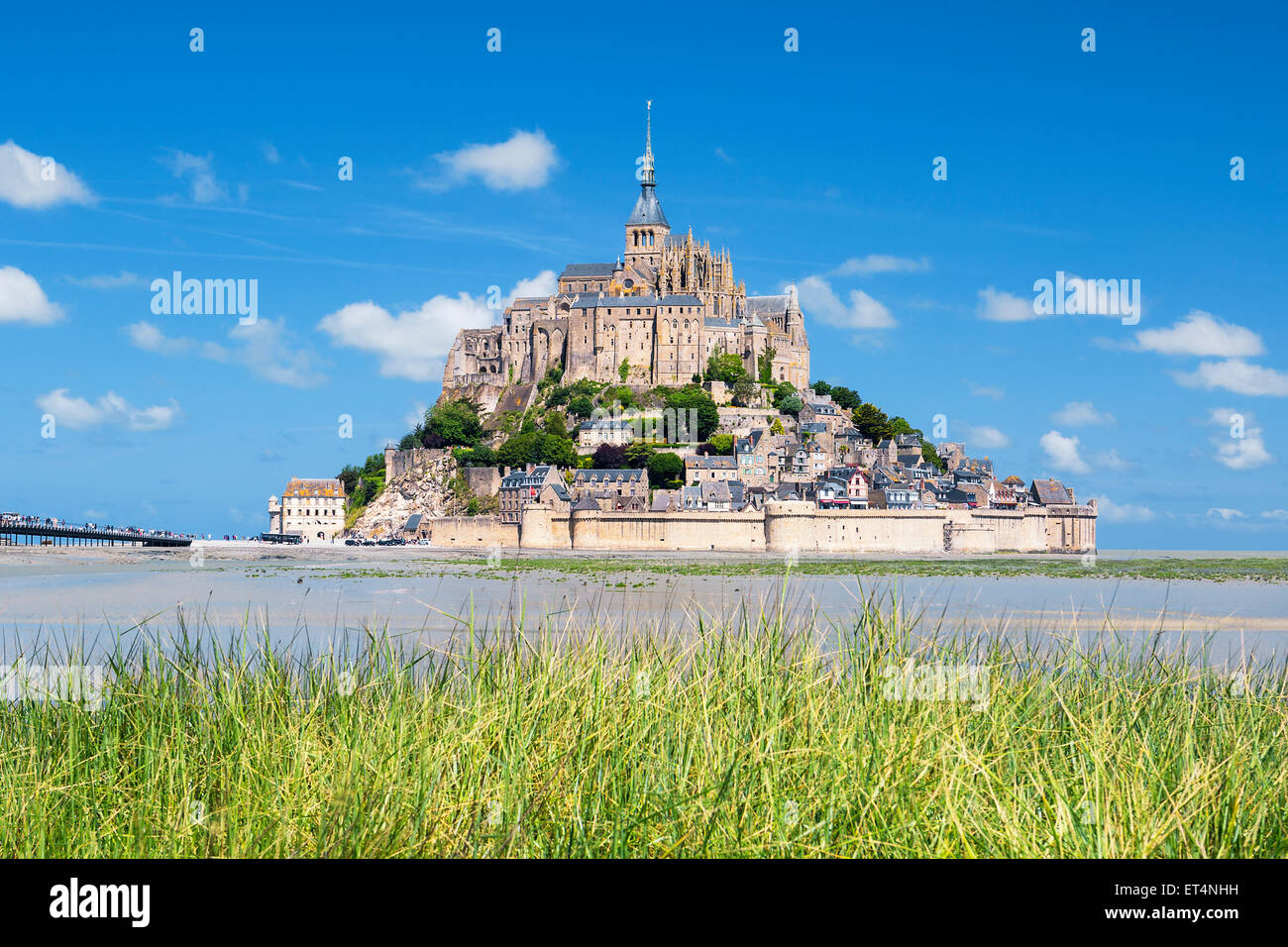 Vue du célèbre Mont-Saint-Michel et l'herbe verte, la France, l'Europe. Banque D'Images