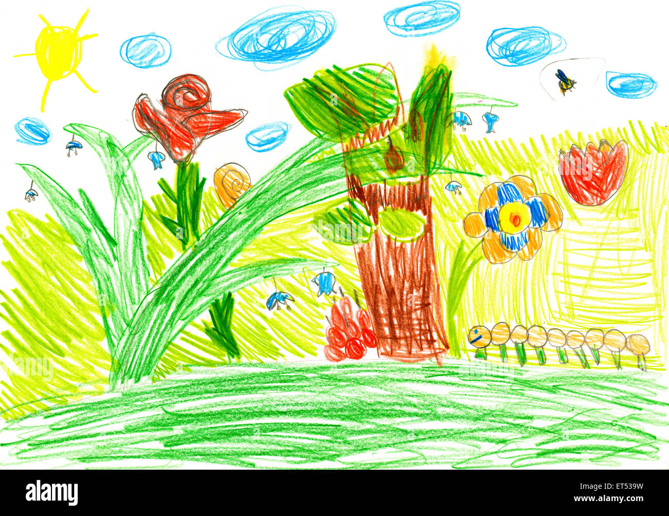 Vie macro sur une prairie d'été. dessin d'enfant. Banque D'Images