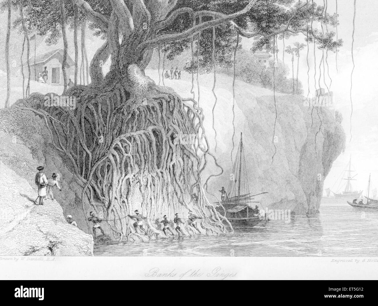 Banyan Tree Roots, Ganga River Ganges, Uttar Pradesh, Inde, Asie, Gravure en acier de style asiatique, indien, ancien datant du XIXe siècle Banque D'Images