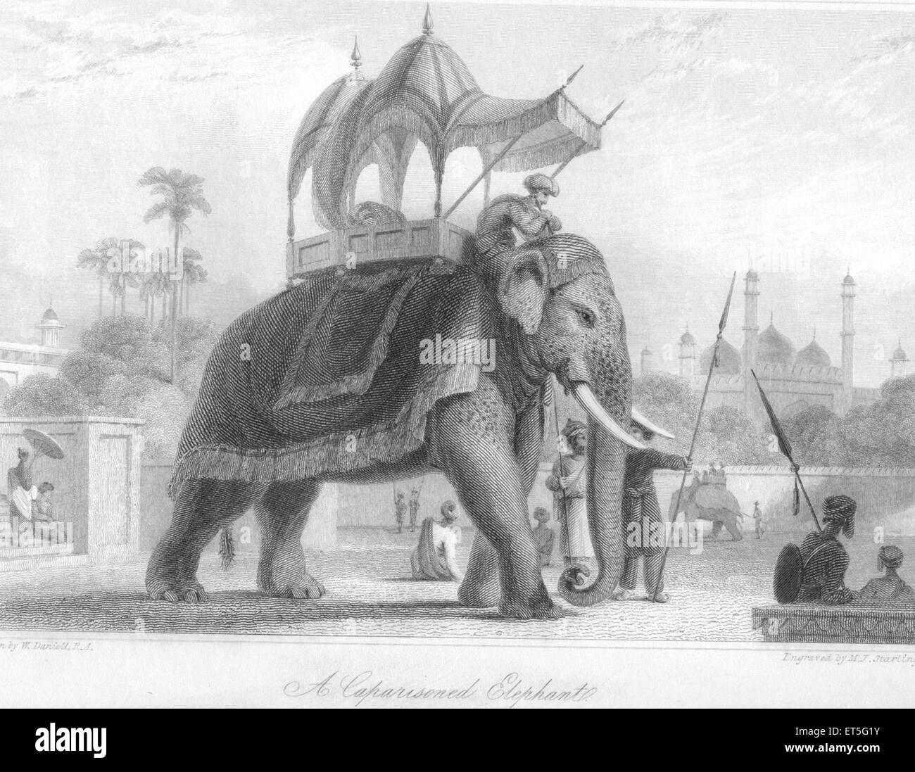 Éléphant Caparisoned ; Inde Banque D'Images