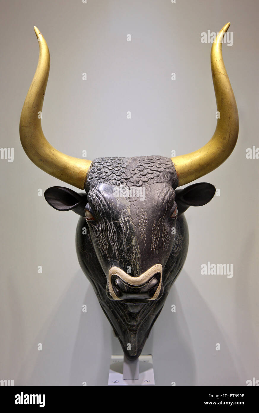 Bull's head - Pierre rhyton, un chef-d'oeuvre de l'art minoen au Musée Archéologique d'Héraklion, Crète, Grèce. Banque D'Images