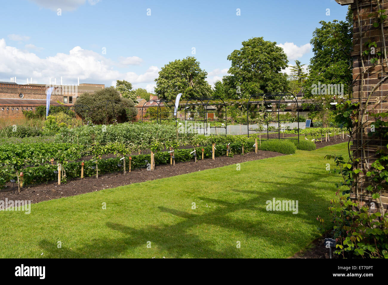 Jardins botaniques royaux de Kew, cuisine jardin planté pour BBC2's séries télé 'Kew sur une assiette" - Londres, Royaume-Uni, Europe Banque D'Images