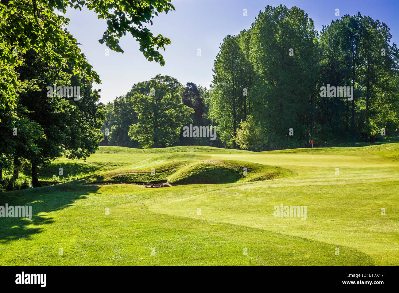 Un parcours de golf en début de matinée le soleil. Banque D'Images