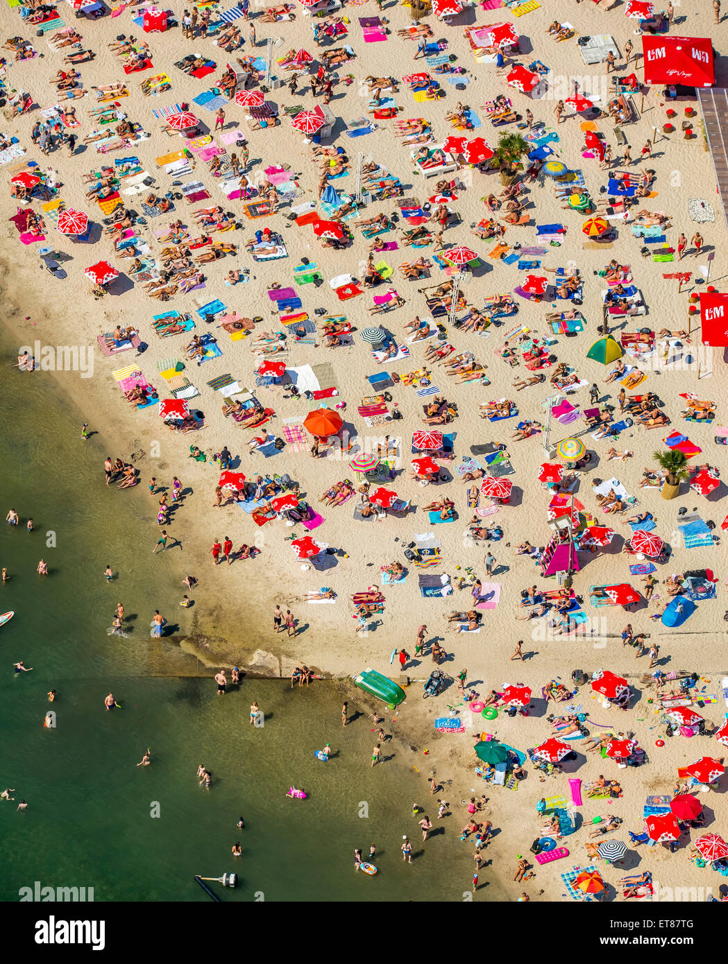Coucher du Soleil Plage, baigneurs sur des serviettes à Escher lake, Lake à Cologne, Rhénanie du Nord-Westphalie, Allemagne, Banque D'Images