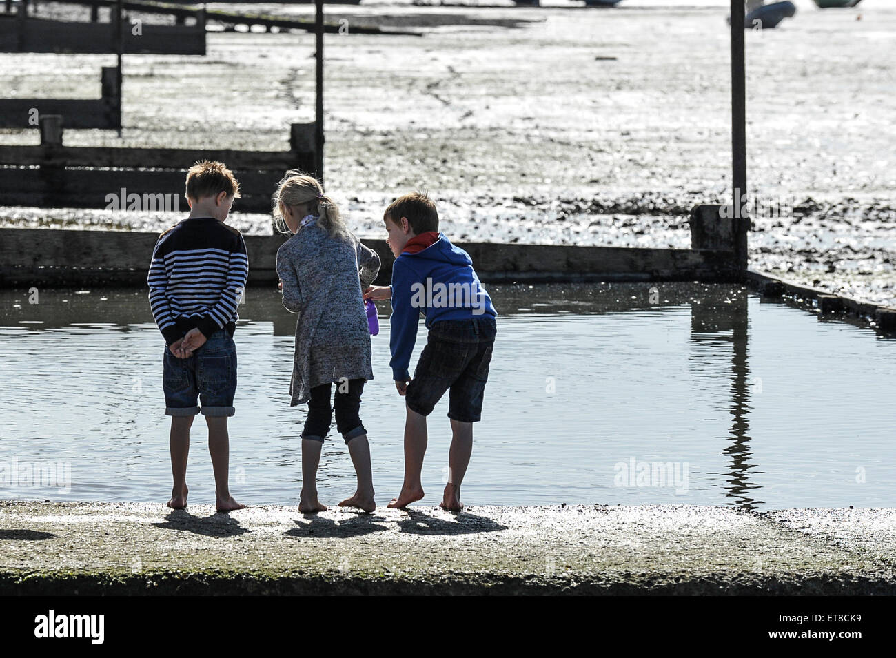 Enfants jouant sur l'estran à Leigh on Sea dans l'Essex. Banque D'Images