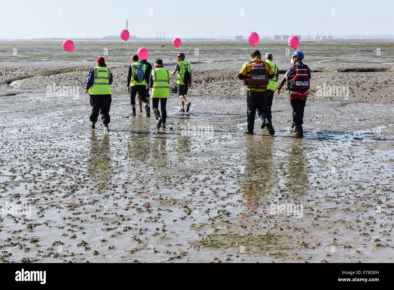 Balades Maréchaux sur la Thames Estuary vasières pour le début de l'assemblée 'île en île Mud Run'. Banque D'Images
