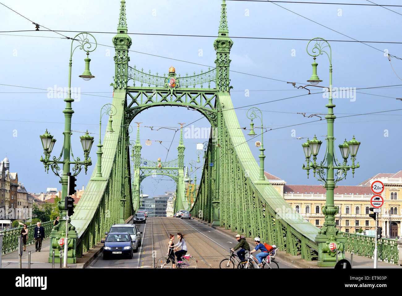 Pont de la liberté Budapest Hongrie Banque D'Images