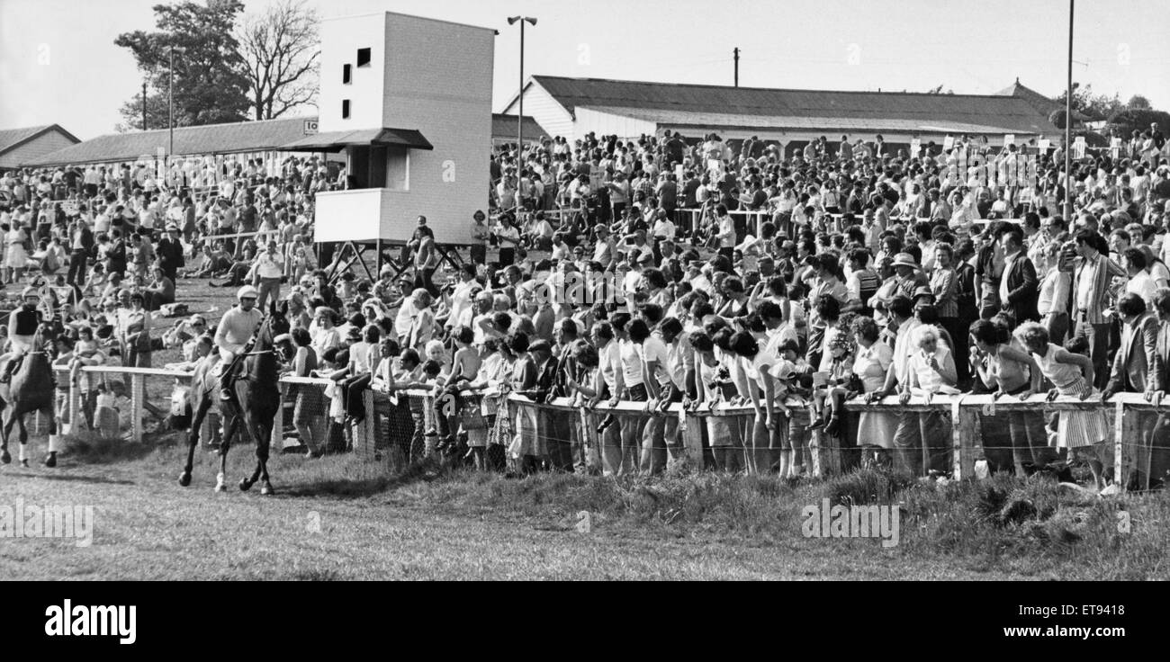 Chevaux et jockeys au trot au début vu par les amateurs de course anxieuse à l'Hippodrome de Hexham vers juillet 1978 Banque D'Images