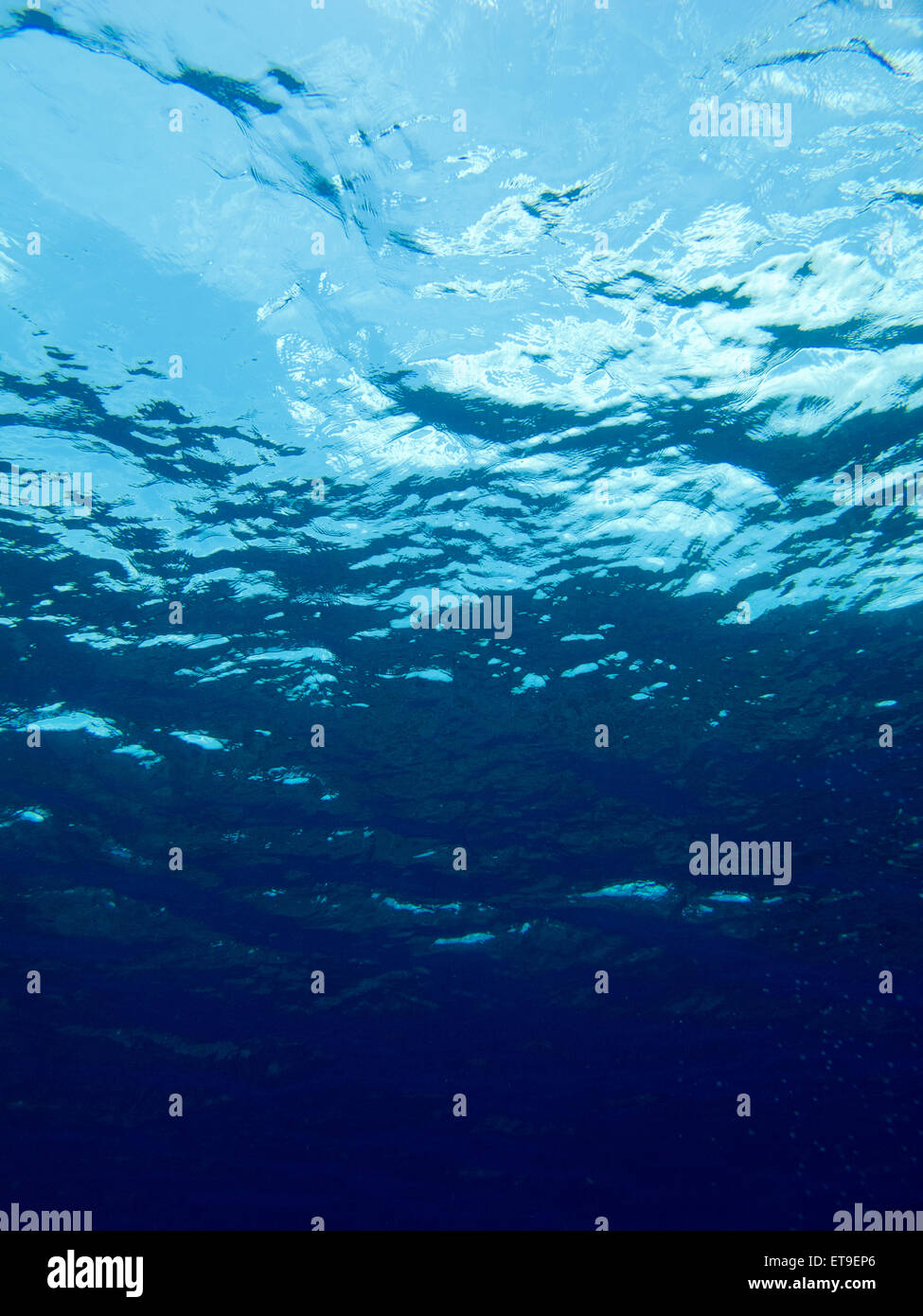 Sous l'eau de surface de l'océan Banque D'Images
