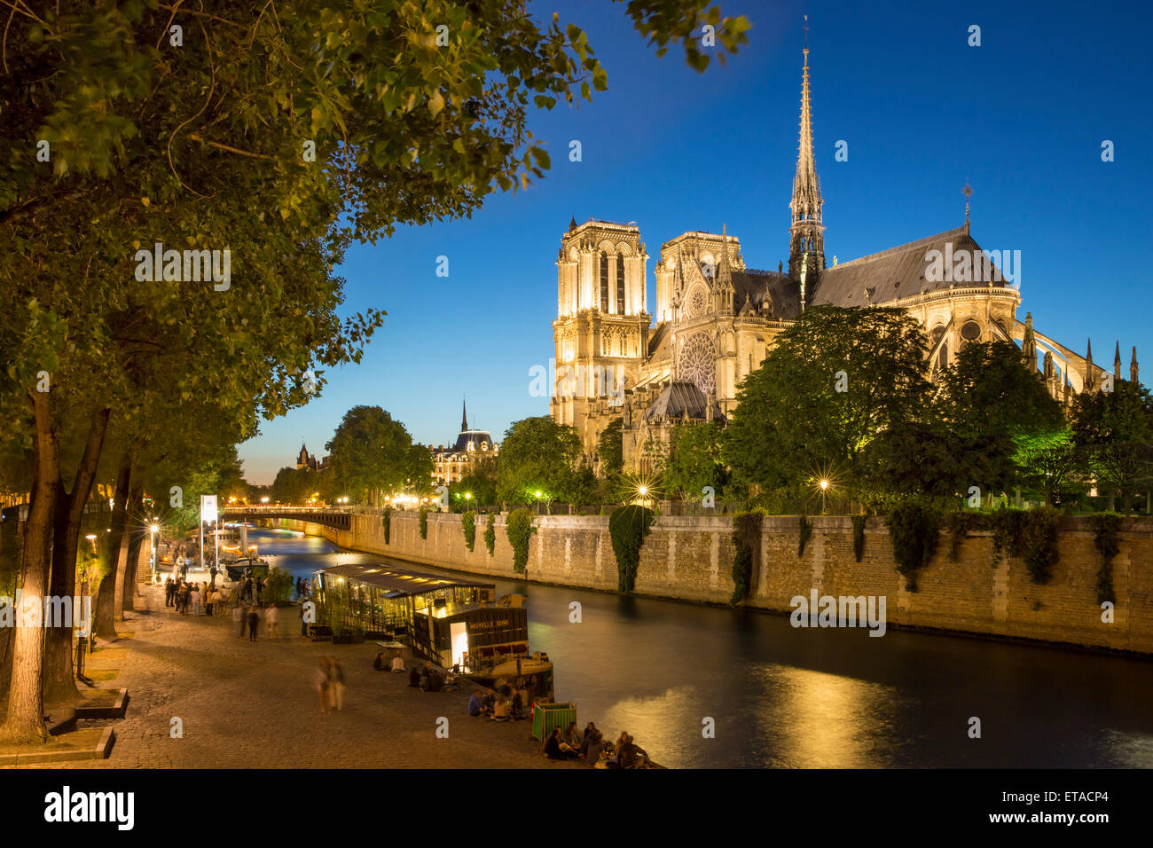 Le long crépuscule Seine ci-dessous Cathédrale Notre Dame, Paris, France Banque D'Images