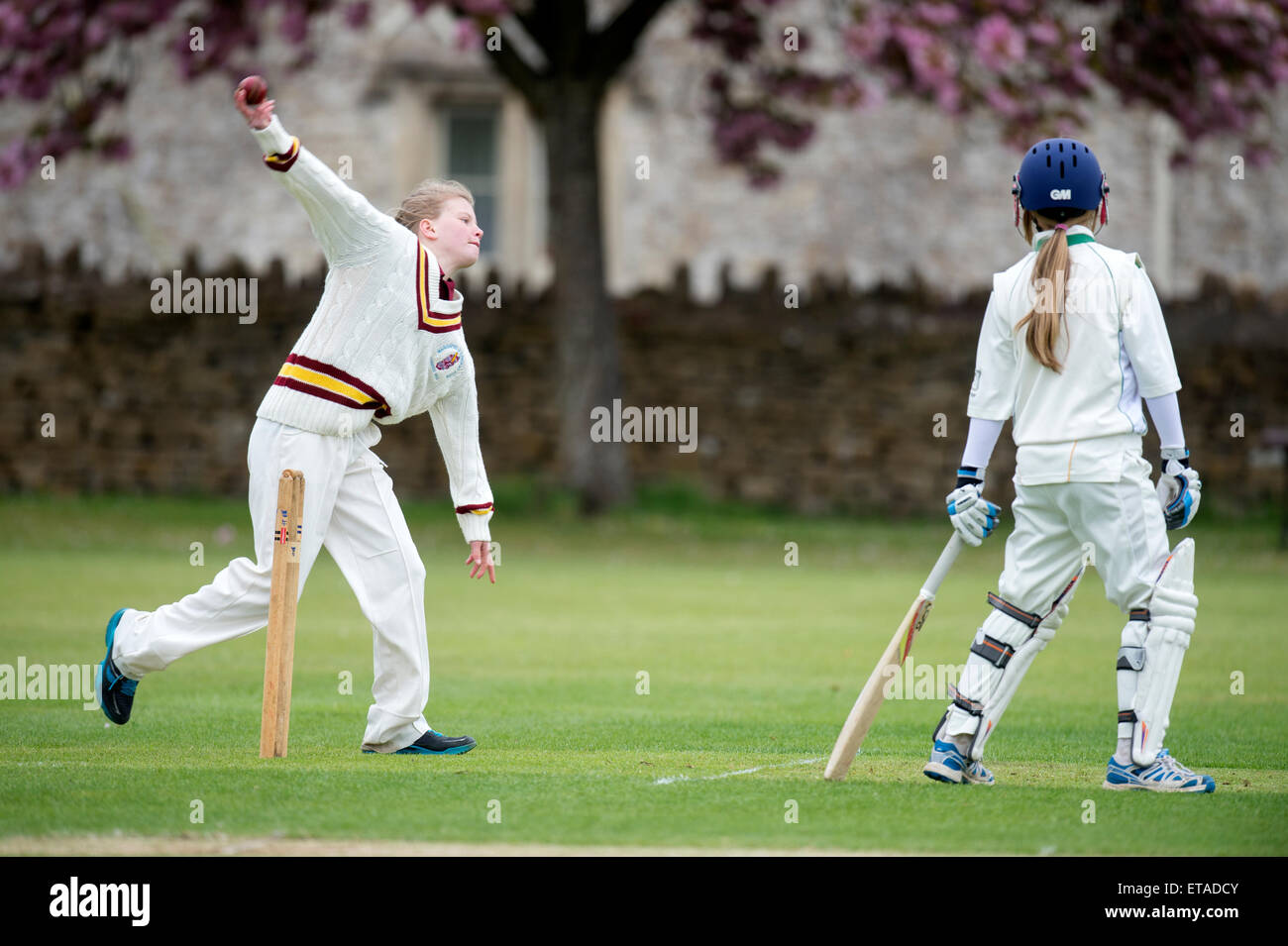 Un joueur pendant un match de cricket junior filles dans le Wiltshire UK Banque D'Images