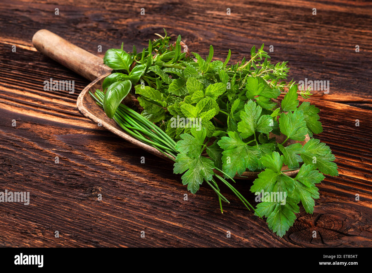 Les herbes aromatiques diverses. Le thym, la marjolaine, le basilic, la menthe, la ciboulette et le persil sur la cuillère en bois, avec de vieux ciseaux sur vieux brow Banque D'Images