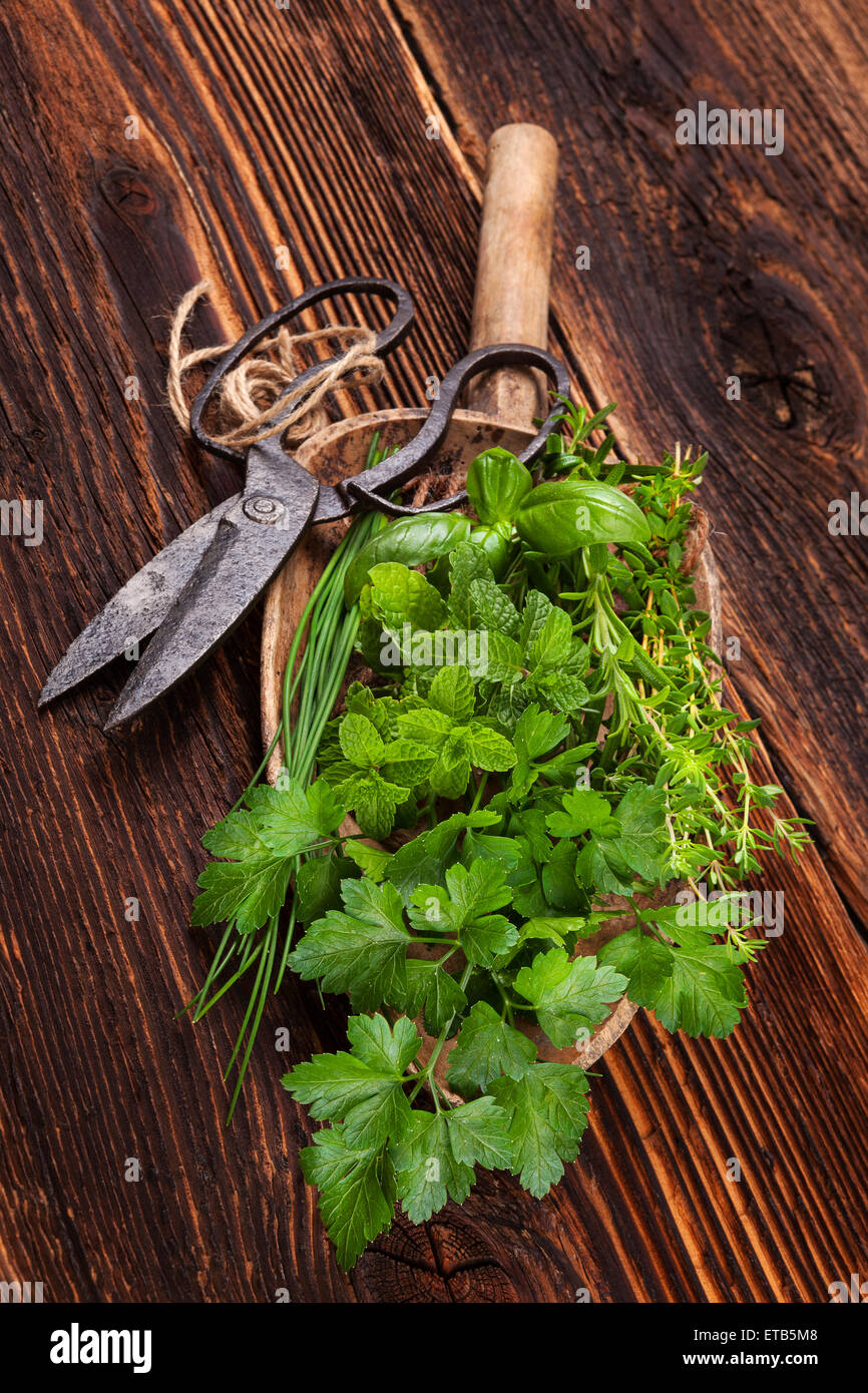 Les herbes aromatiques diverses. Le thym, la marjolaine, le basilic, la menthe, la ciboulette et le persil sur plaque de bois sur le vieux fond de bois brun Banque D'Images