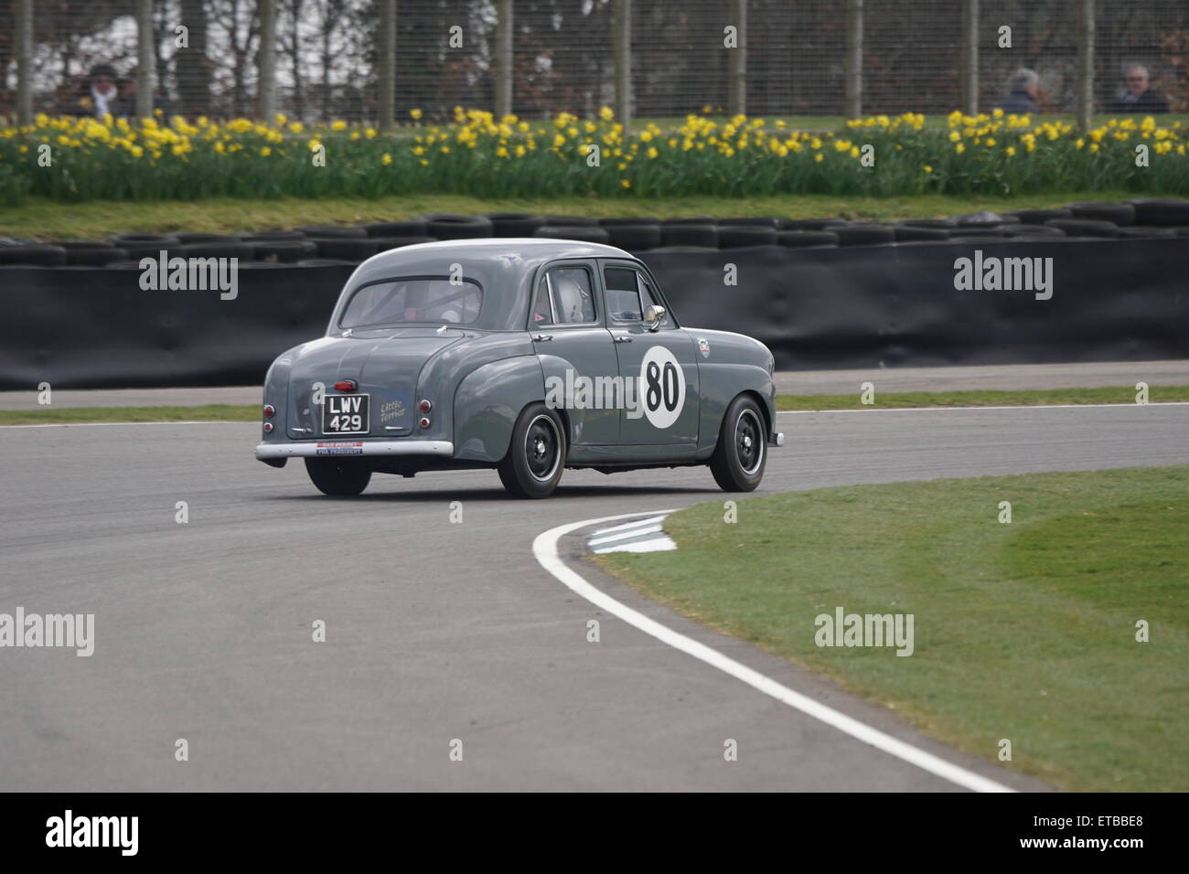 Peter Clements dans une norme 1955 Dix à la réunion des membres de Goodwood Banque D'Images