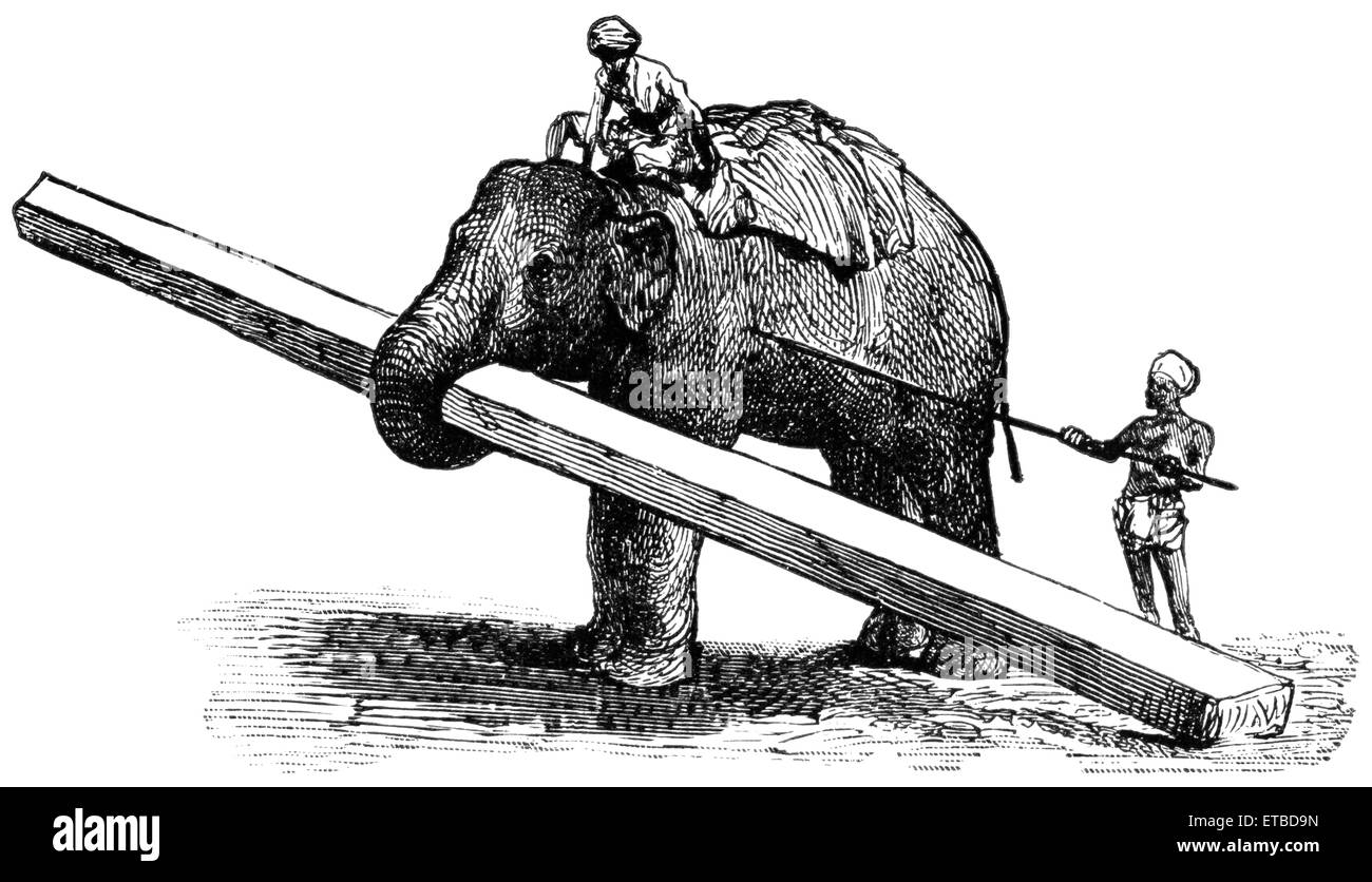 Elephant transporte du bois, Rangoon, Birmanie, 'portefeuille classique de transporteurs Primitive', par Marshall M. Kirman, World Railway Publ. Co., Illustration, 1895 Banque D'Images
