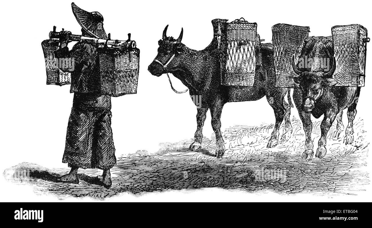 Shan de Birmanie supérieure avec des produits bovins de chargement, 'portefeuille classique de transporteurs Primitive', par Marshall M. Kirman, World Railway Publ. Co., Illustration, 1895 Banque D'Images
