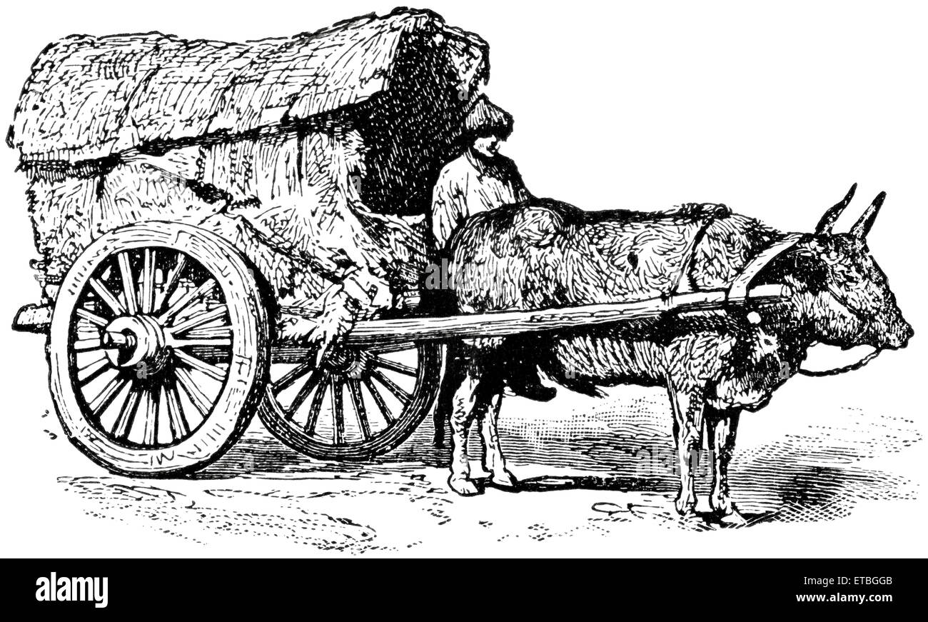 Wagon de Mongolie, Chine, 'portefeuille classique de transporteurs Primitive', par Marshall M. Kirman, World Railway Publ. Co., Illustration, 1895 Banque D'Images