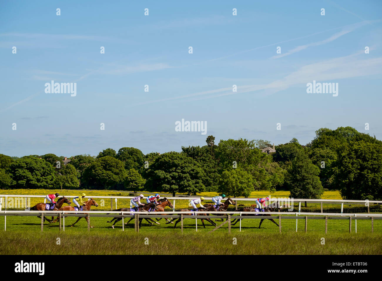 Courses hippiques à Beverley. La course de 4 heures sur une journée chaude en juin. Banque D'Images