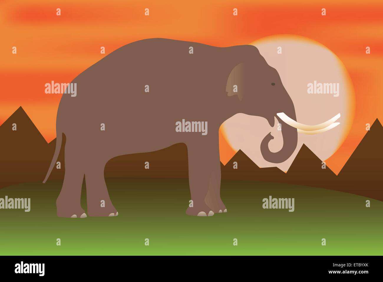 Au coucher du soleil de l'éléphant Illustration de Vecteur