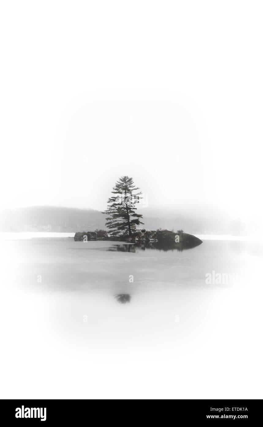 Paysage d'hiver Banque D'Images
