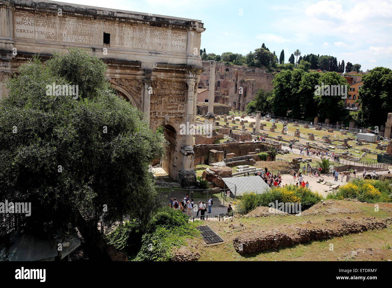 Le Forum de Rome avec l'Arco di Settimio Severo sur la gauche. Banque D'Images