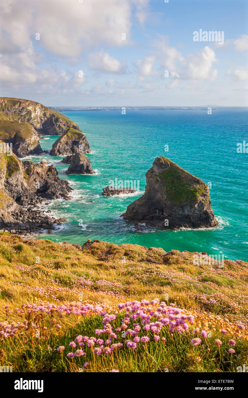 Bedruthan Steps Cornwall, Angleterre, Royaume-Uni Banque D'Images