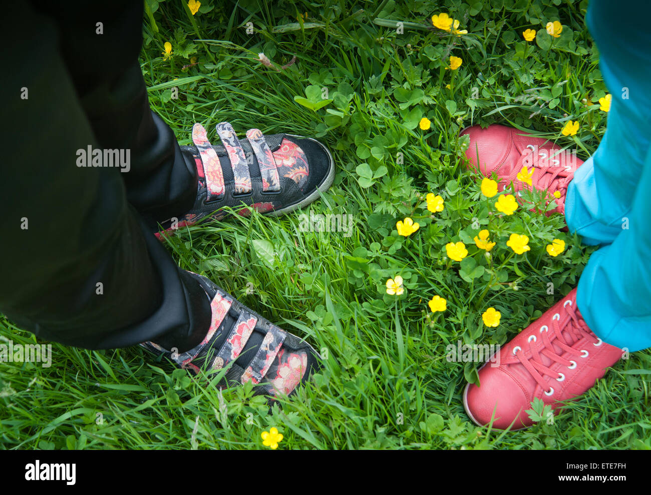 Quatre pieds en chaussures de comité permanent sur l'herbe Banque D'Images