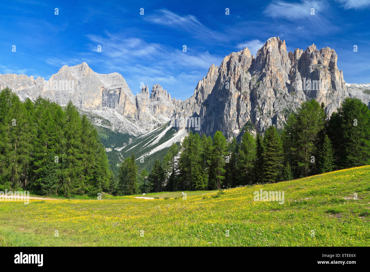 Paysage d'été des Dolomites italiennes en Vaiolet Valley. Arrière-plan sur le mont Catinaccio, Trentin, Italie Banque D'Images