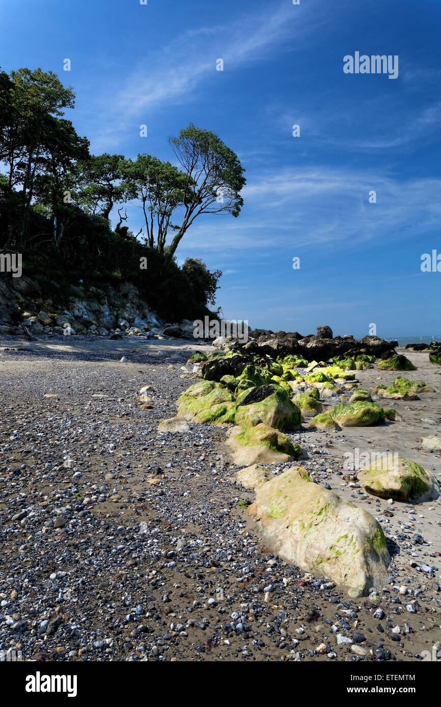 Priory Bay est une petite baie privée sur la côte nord-est de l'île de Wight, en Angleterre à l'est de Nettlestone, UK Banque D'Images