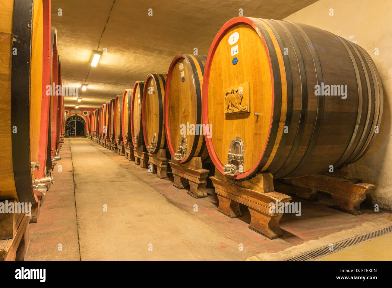 En barils de vin vignoble toscan Banque D'Images
