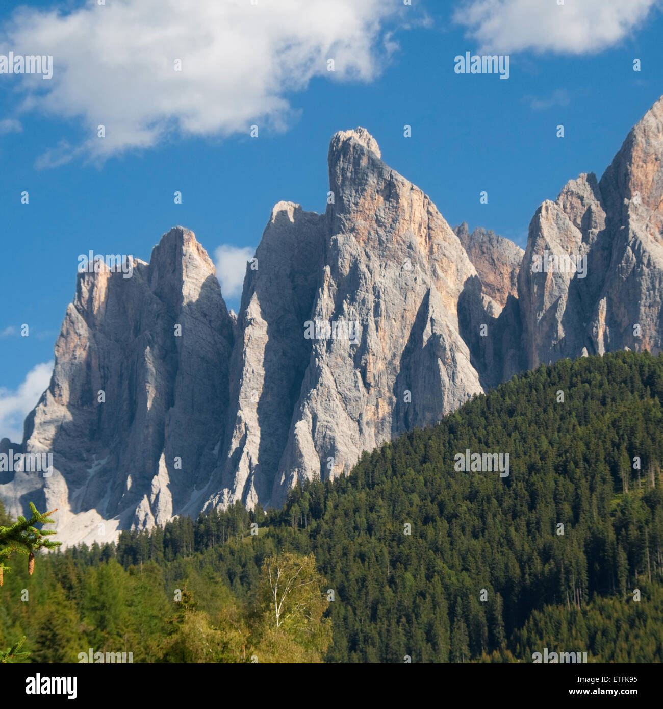 L'Odle des seringues au parc naturel de Puez-Geisler en Tyrol du Sud, Italie. Banque D'Images