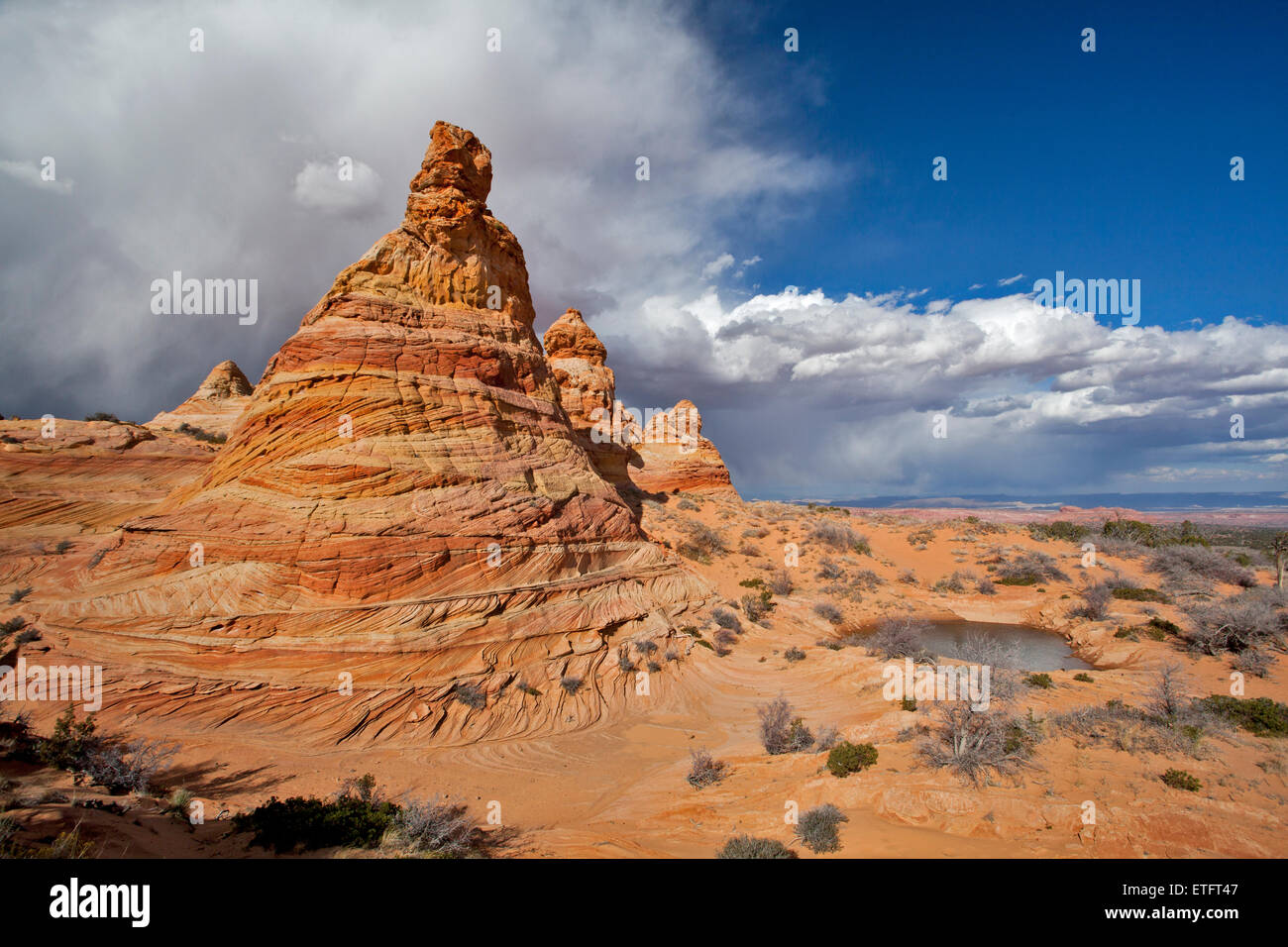 La zone de l'anse en coton Coyote Buttes South section dans le Paria Canyon située dans le nord de l'Arizona... Banque D'Images