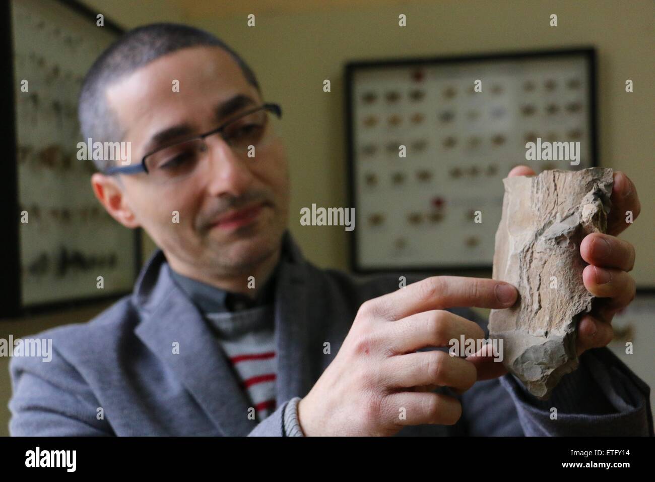 Stoyan Vergiev, un expert de Varna's Natural Science Museum, présente le cadre d'une vertèbre de baleine préhistorique. Le mammifère a vécu au cours du Miocène à environ 10-15 millions d'années auparavant, près de la ville bulgare de la mer Noire de Varna. Un rapport d'un passant a conduit à la découverte de la Vertèbre de baleine préhistorique il y a environ un mois. Les marées de la mer détruit certains des fossiles. Le manque de moyens du crâne la baleine des espèces particulières ne peuvent être identifiés même s'il peut être dit que la créature de la mer appartenait à genre Cetotherium. La longueur estimée de la baleine est de 2,5 mètres. Les baleines de ce genre pesait ar Banque D'Images
