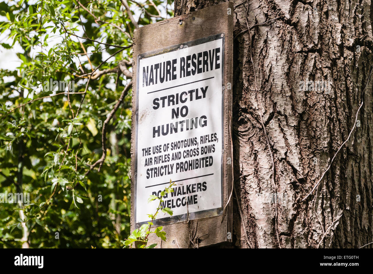 Inscrivez-vous à une réserve naturelle 'avertissement *strictement pas de chasse. L'utilisation de fusils, carabines, fusils à air et interdit strictement aux arcs Banque D'Images