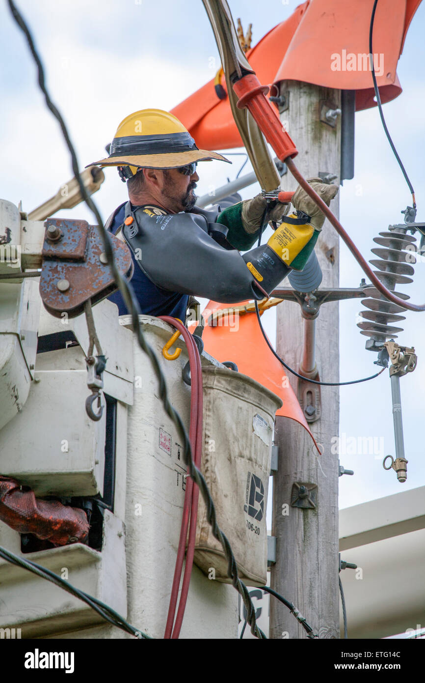 Poseur utilise une plate-forme surélevée appelée un 'grue' pour réparer des lignes électriques en hauteur sur un poteau. Banque D'Images