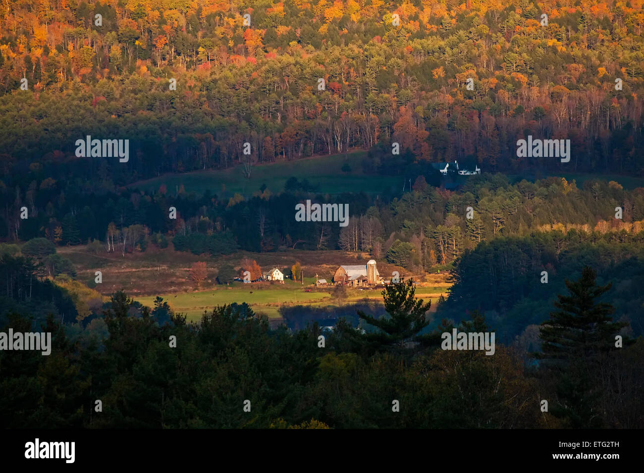 Le soleil du matin illumine le feuillage d'automne colorés autour d'une ferme dans les collines du New Hampshire. Banque D'Images