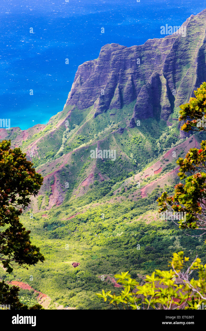 Avis de Canyon Lookout, Waimea Canyon State Park, Kauai, Hawaii, USA Banque D'Images