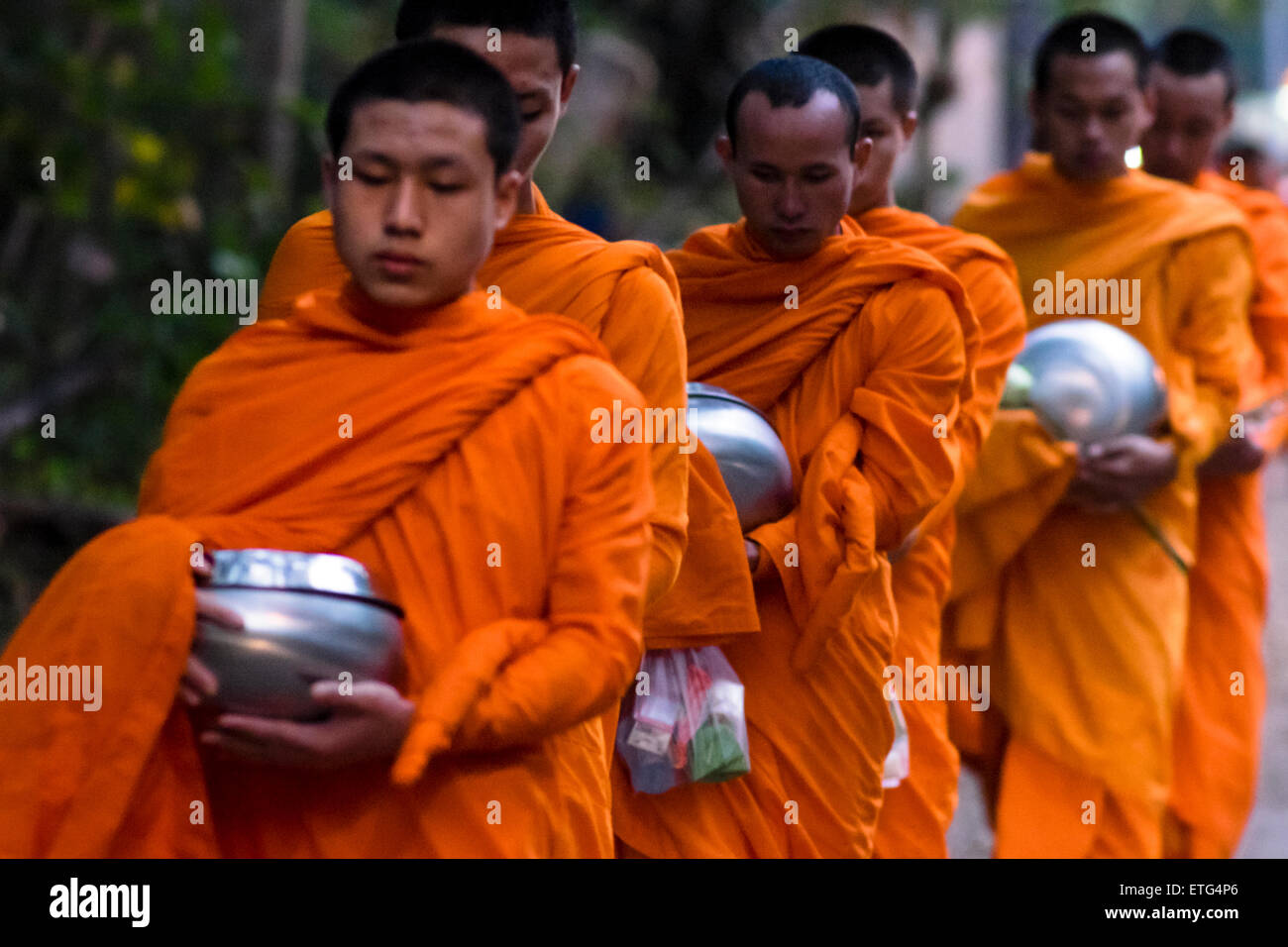 L'Asie. La Thaïlande, Chiang Mai. Les jeunes moines Bouddhistes sur leur procession du matin pour des offrandes de nourriture à proximité d'un monastère. Banque D'Images