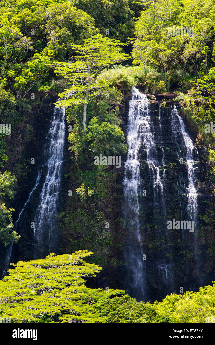 Les chutes de Opaekaa, Kauai, Hawaii, USA Banque D'Images