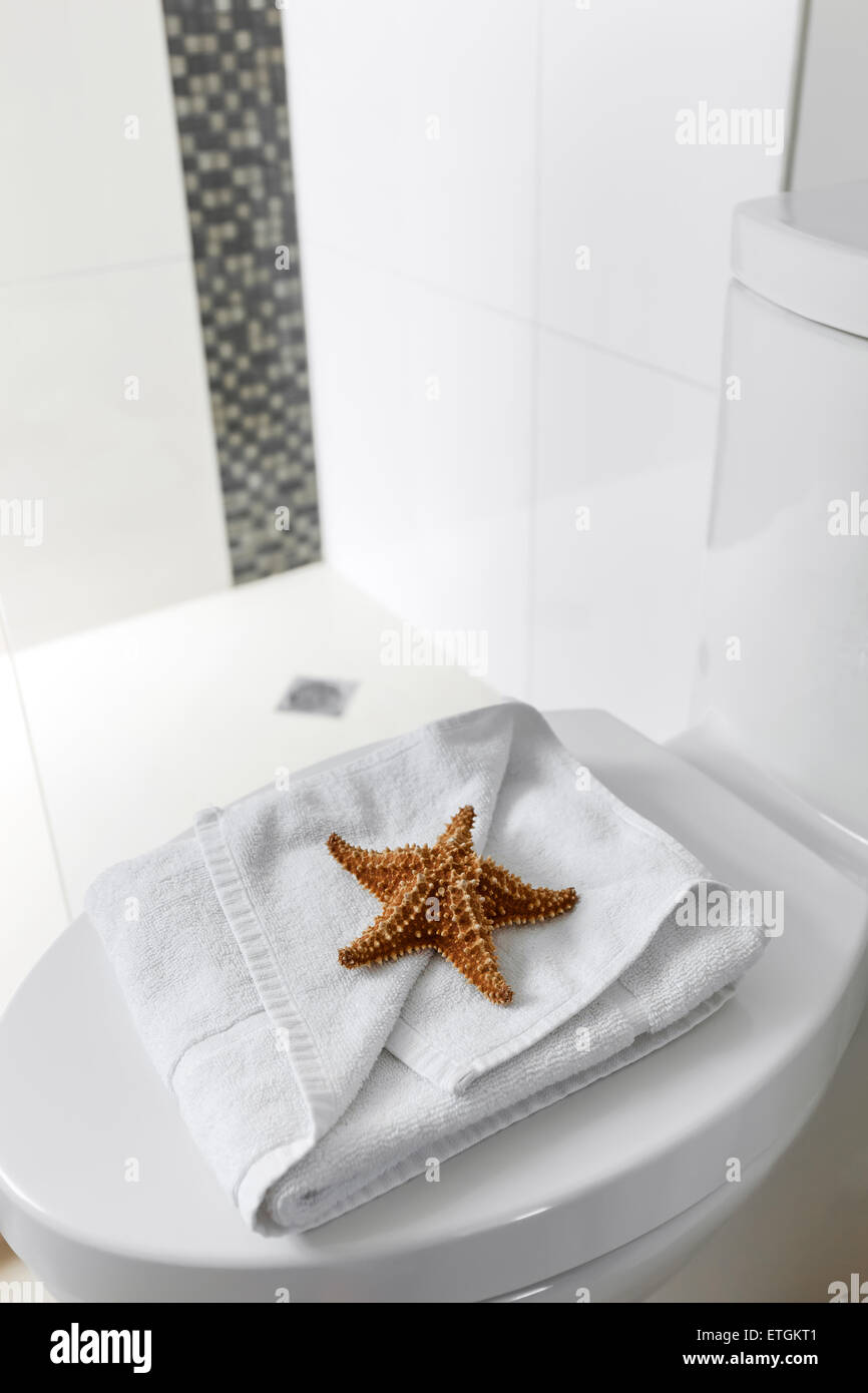 Toilettes blanc avec étoile de mer sur le sol carrelé dans une salle de bains sèche-serviettes interior Banque D'Images Toilettes blanc avec étoile de mer sur le sol carrelé dans une salle de bains sèche-serviettes interior Banque D'Images