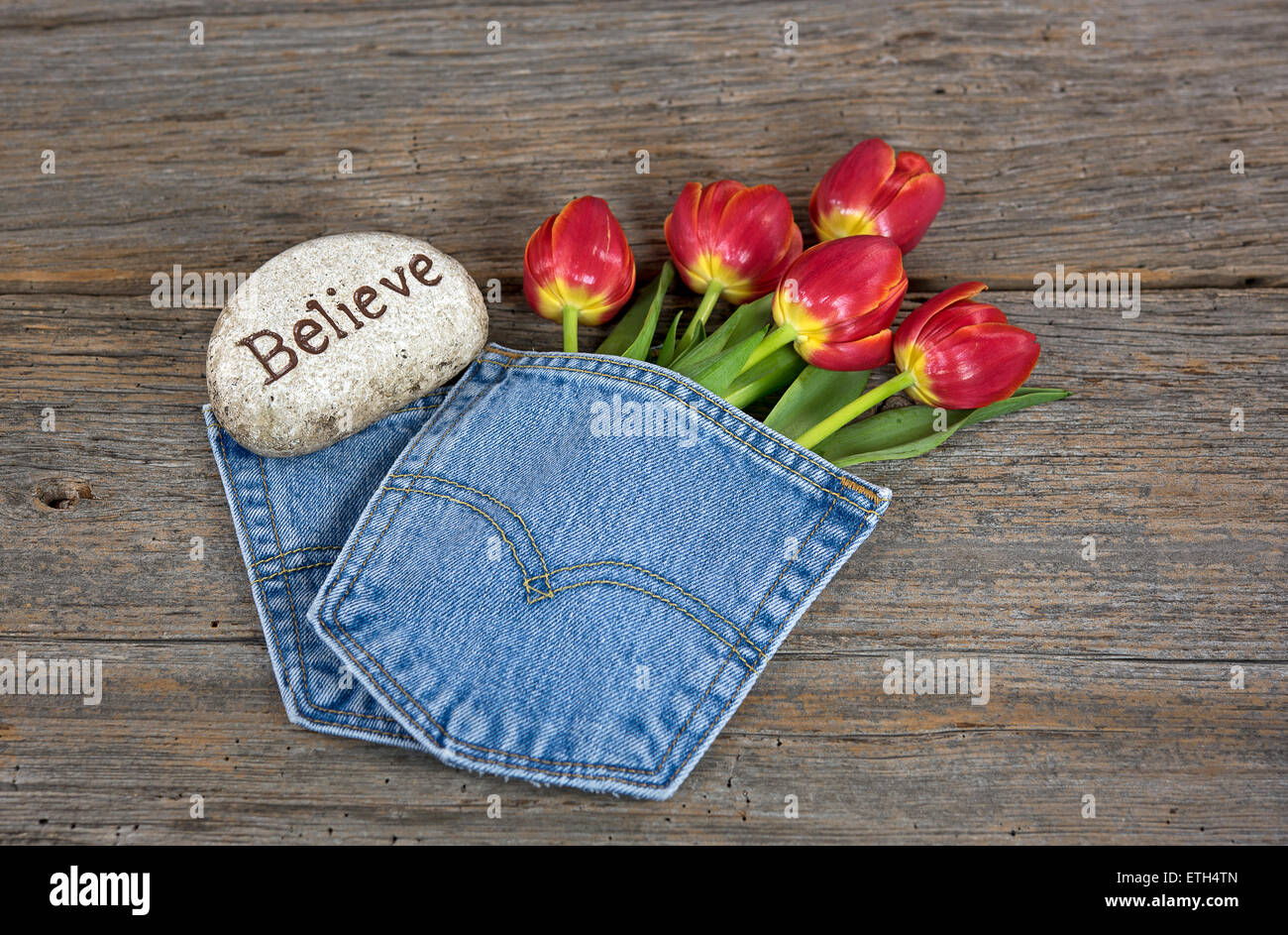 Tulipes rouges en bleu jean avec poche rock d'inspiration rustique sur bois. Banque D'Images