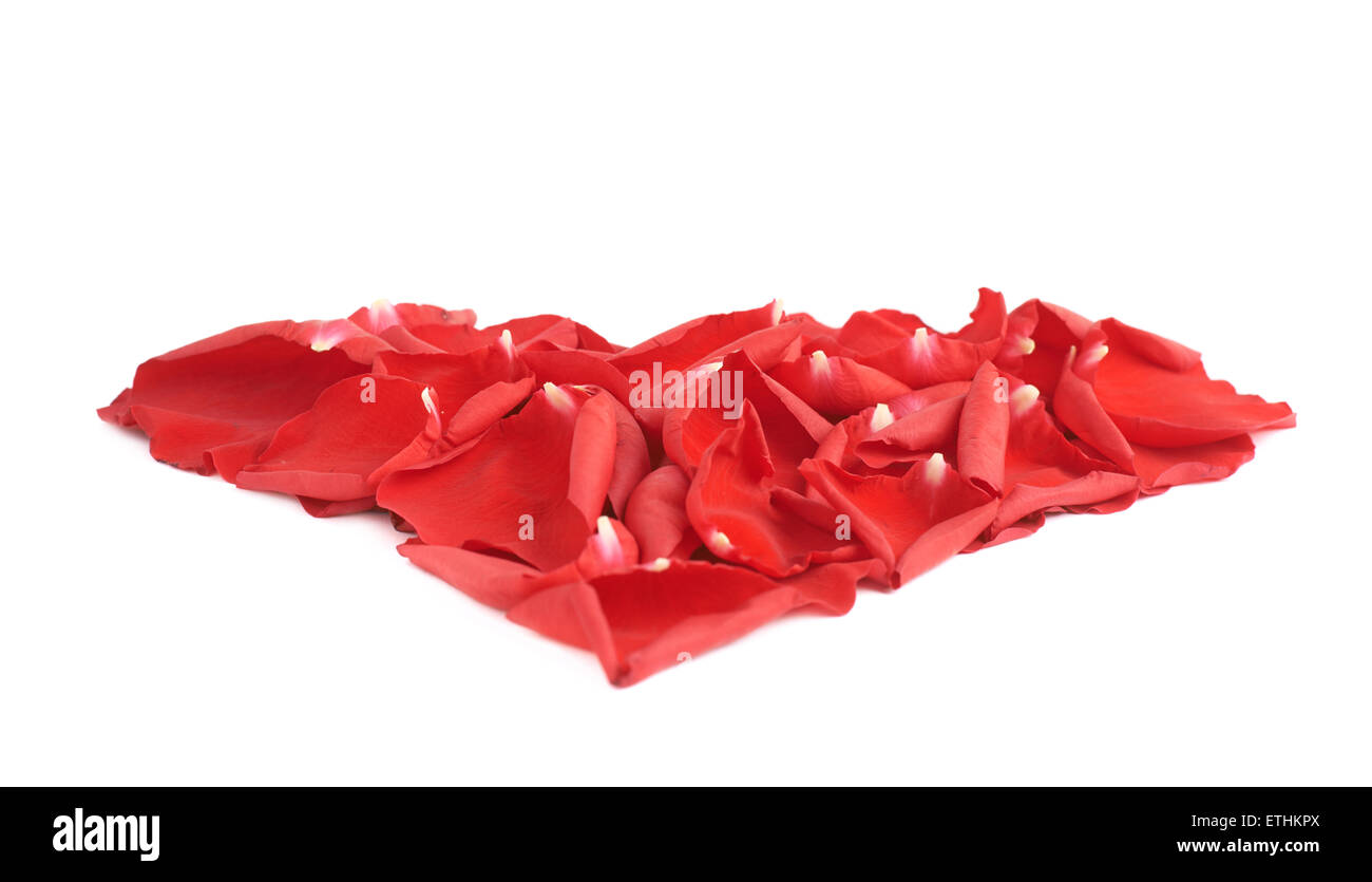Composition de pétales de rose en forme de coeur Banque D'Images